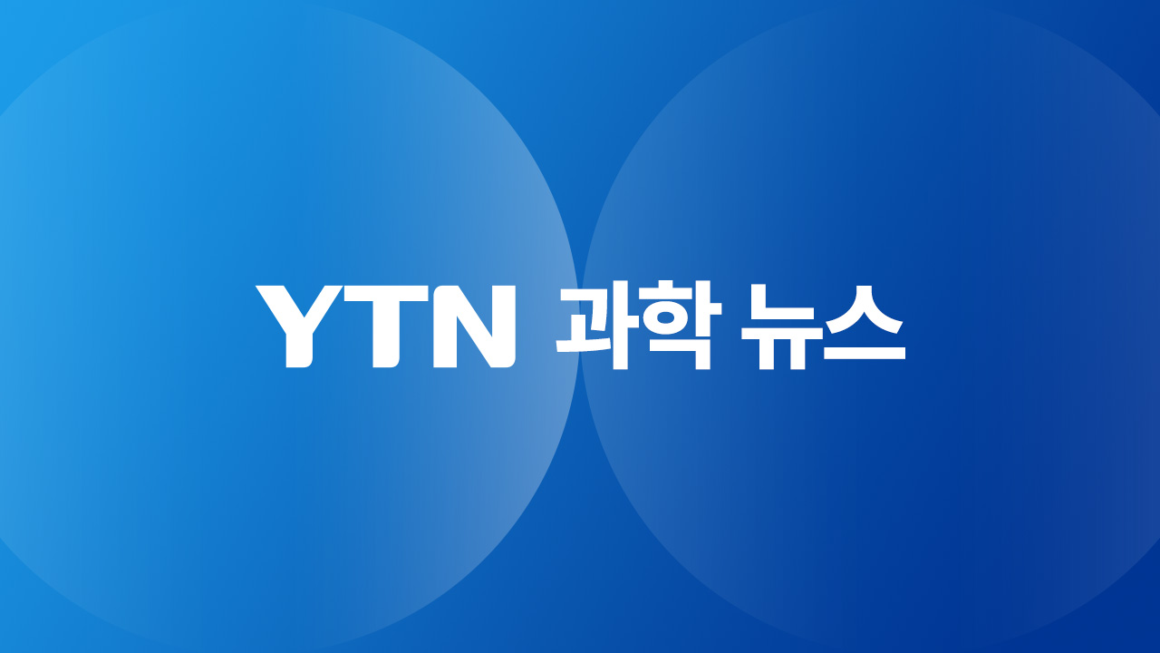 공기 중 미세플라스틱, 40㎍ 흡입하면 폐 염증 생긴다